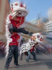 _DSC7435 