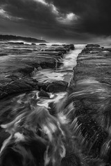 _DSC3691 w 1
