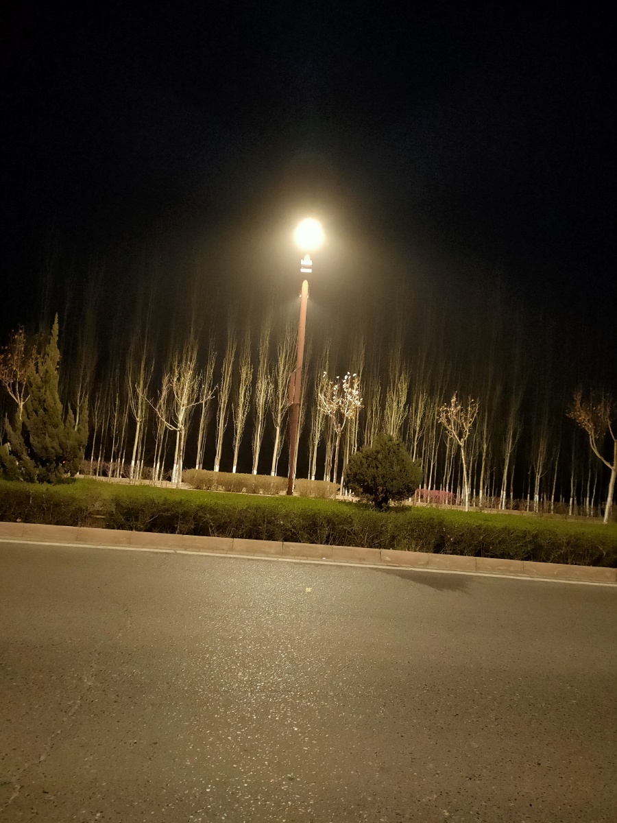 夜晚的路灯
