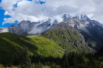 DSCF7538