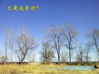 IMG_3683-1