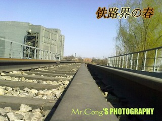 IMG_3703-1