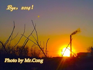 IMG_3231-l