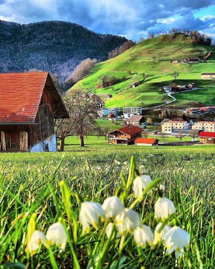 春光乍泄大美瑞士676767