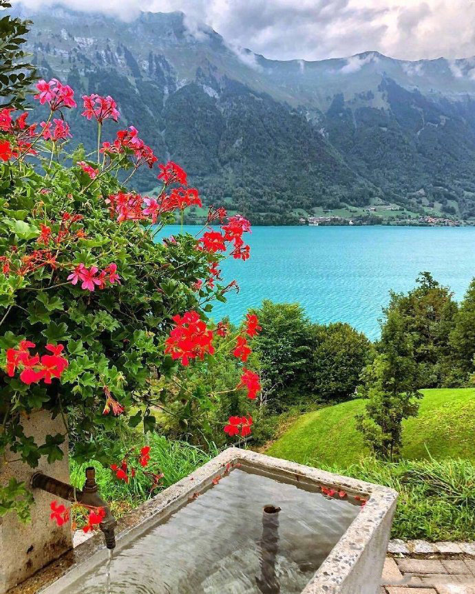 春光乍泄大美瑞士676767