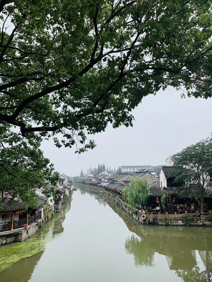 枫泾古镇小桥流水人家江南水乡美景