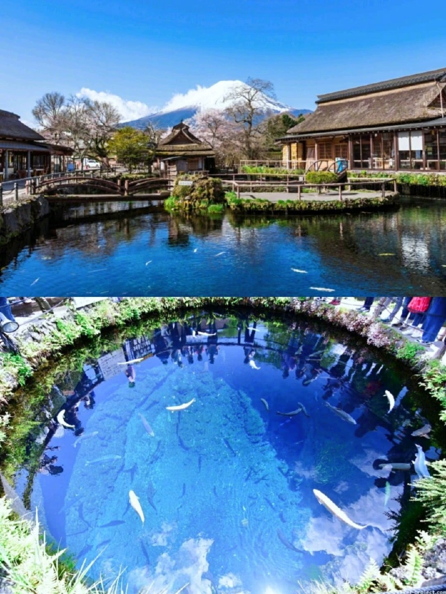 冬天的忍野八海富士山下的白雪世界676767