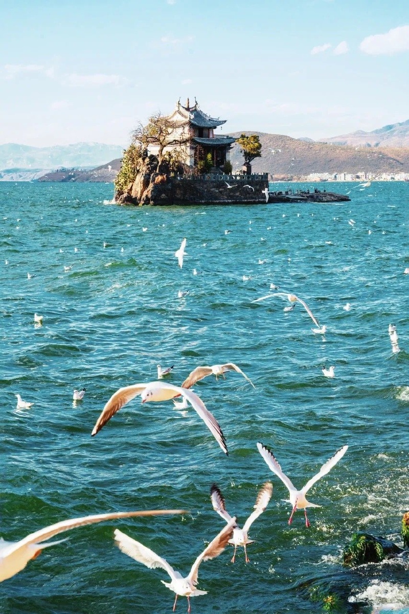 苍山洱海畔风花雪月间大理总有一种美吸引着你67