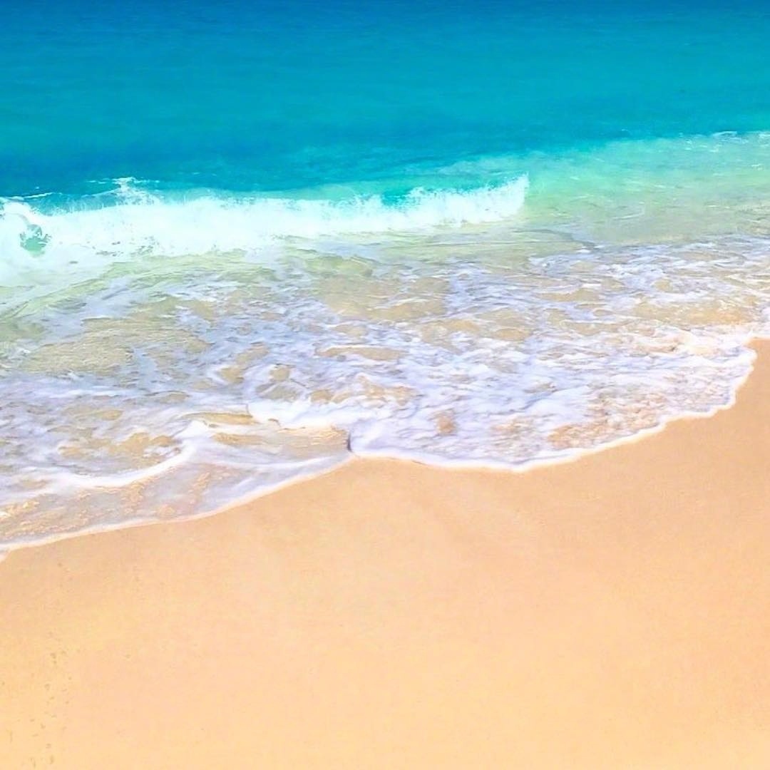 大西洋西岸巴哈马的沙滩海和动物们