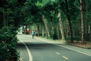 B30801EC-1C79-48B7-928A-1CD72B05E9CE/L0/001