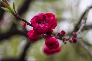 CA5858D7-690D-422B-B0B6-25719E2453B4/L0/001
