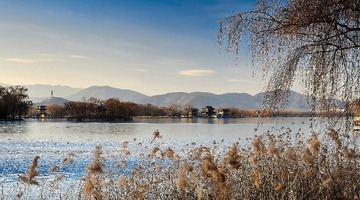 _DSC2786