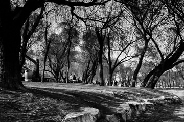 _DSC1753