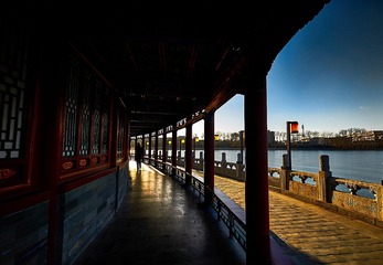 _DSC2968