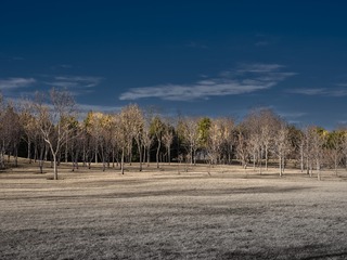 DSCF1622GFX 50R