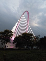 365990