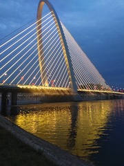 366007