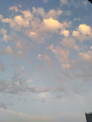 100619