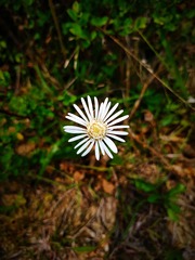 IMG_20181029_212637