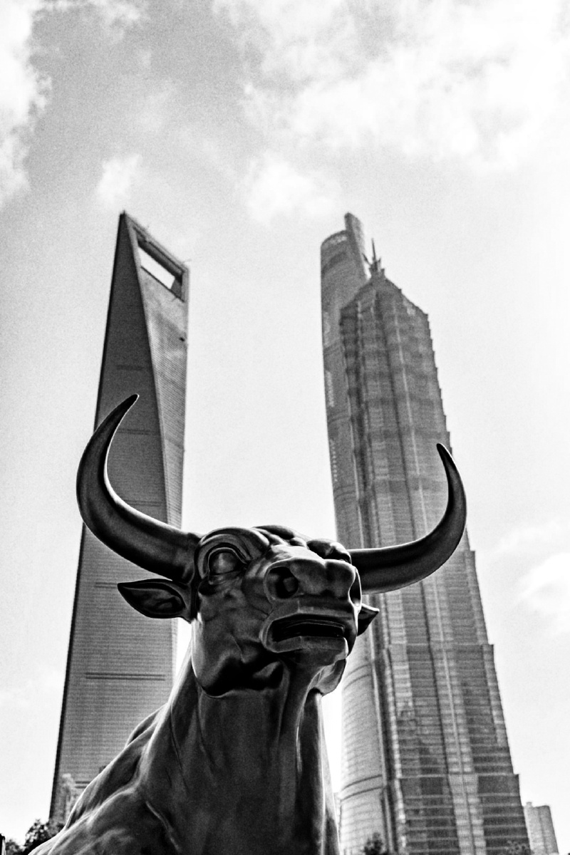 陆家嘴的牛
