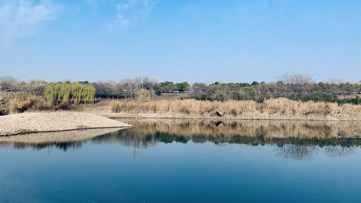 伊滨区伊河游园