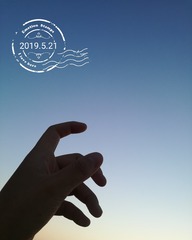 288026
