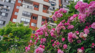 65EE0AE0-68F8-4848-B04A-4F8208EE87EB/L0/001
