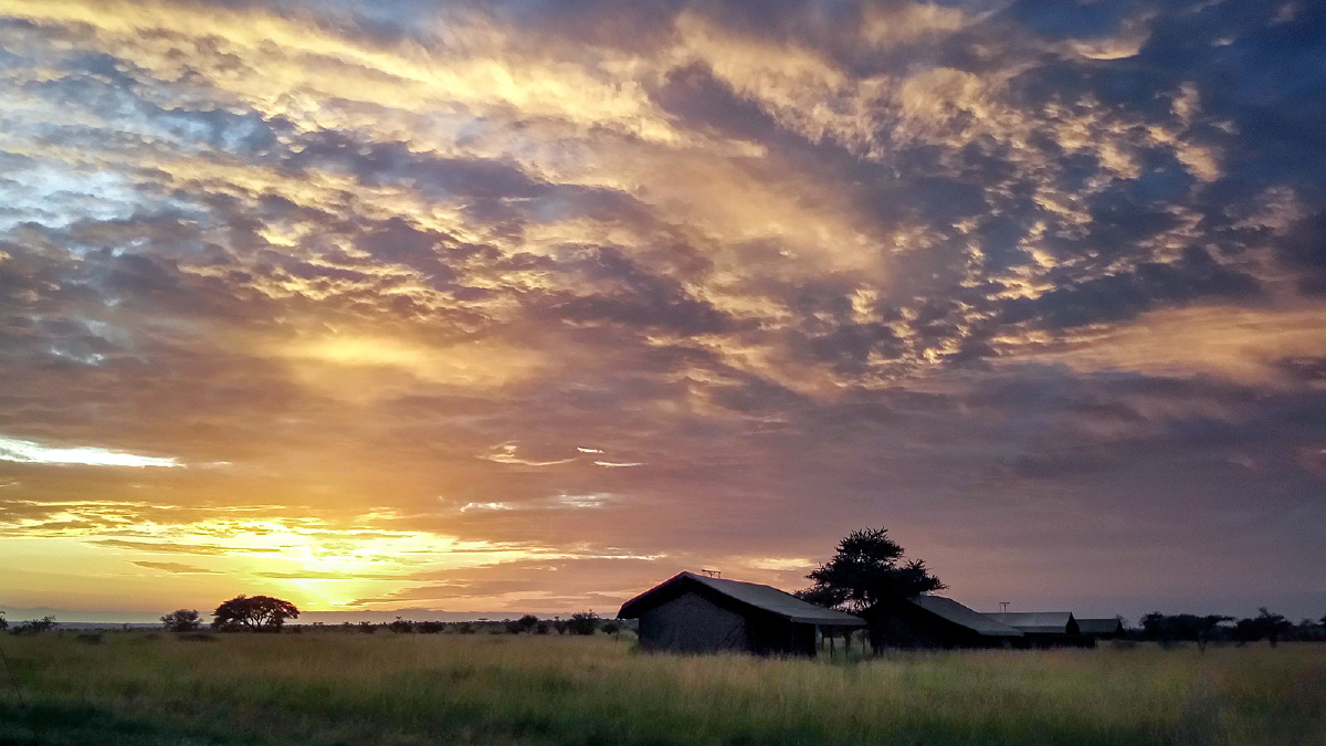塞伦盖蒂草原日出