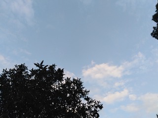377324