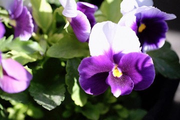 98B08D2F-BD5C-41AD-9118-A51E82D75766/L0/001