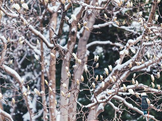 A498CF60-9DC9-4406-8F61-2F91615FEFEB/L0/001