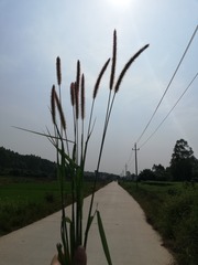 1653688