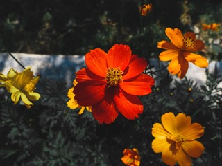1185332