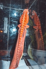 1191585
