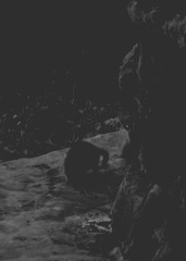 1185851