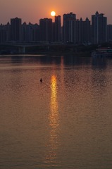 1000013511