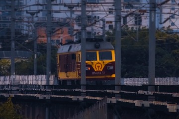 1231889
