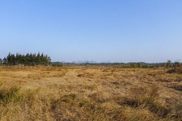 1210950