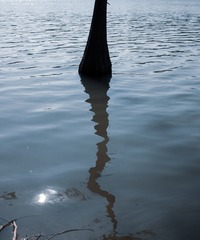 1000014740
