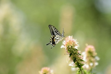 1509078