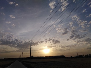 1162201