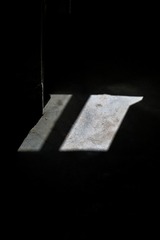 1000213301
