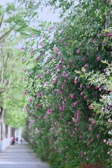 9D727B63-5291-497B-AC24-A5D79A79AF43/L0/001