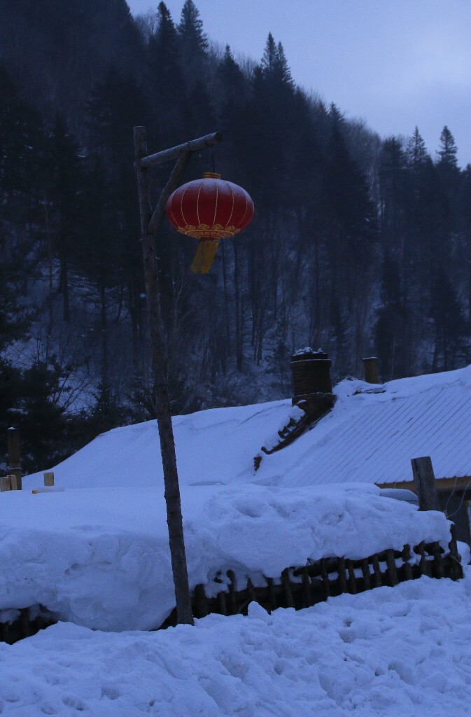 红灯映雪照片描述