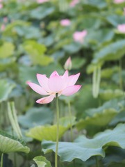 P6230409