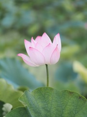 P6230596