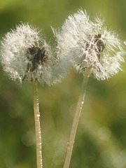 2B400E6E-BD7C-4C09-9FC1-8D1851070BE8/L0/001