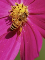 87E1CEC2-255F-4A05-9BE8-D0E74EF74CEC/L0/001