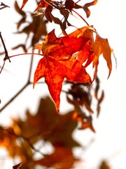 27EBC427-49AA-4EF6-91B8-17CB1847430F/L0/001