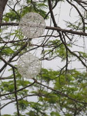 40D87893-8FA0-4BCD-8A9E-C57CC0272382/L0/001